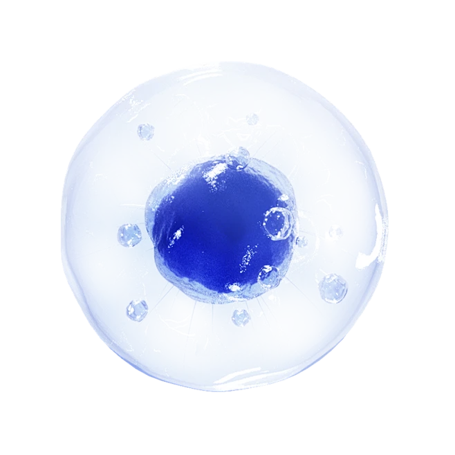 有哪些常見(jiàn)有毒氣體？