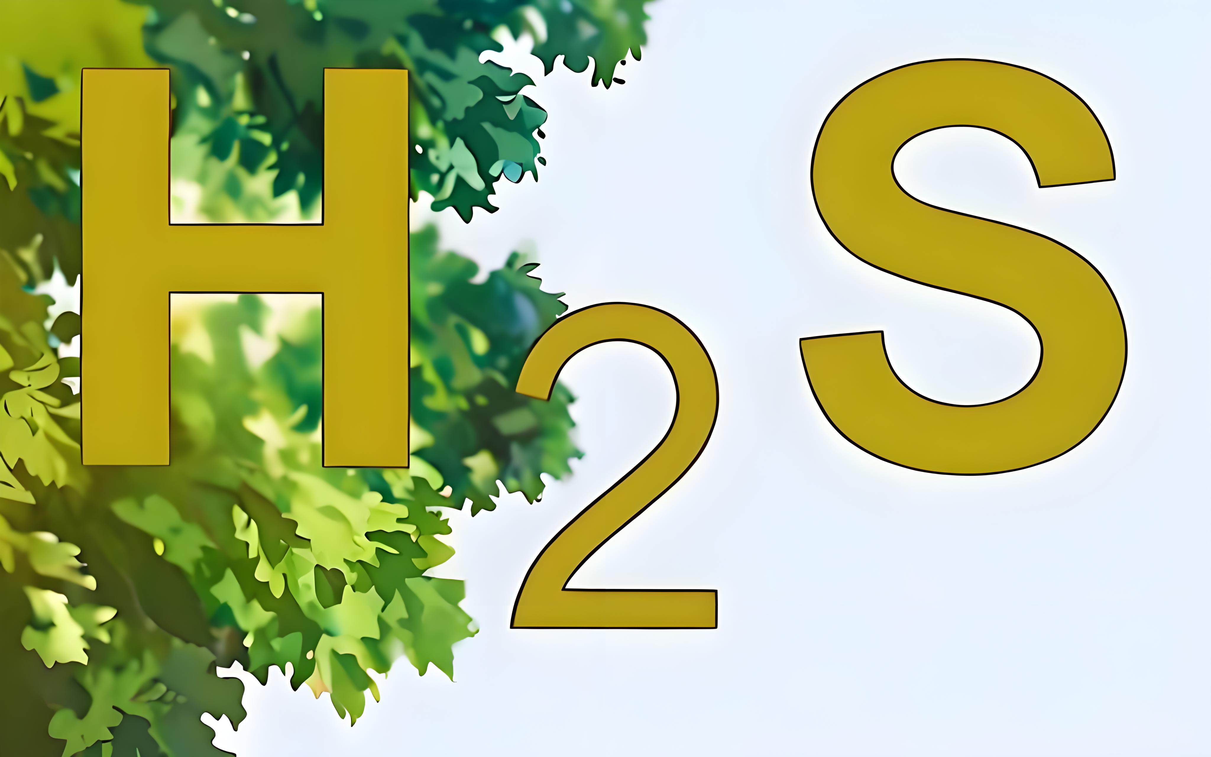 氣體檢測(cè)儀氫氣報(bào)警閾值和硫化氫的有什么區(qū)別？